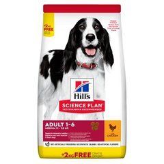 Hill's (Хіллс) Science Plan Adult Medium with Chicken - Сухий корм з куркою для дорослих собак середніх порід. BONUS Bag!!!!, 14 кг