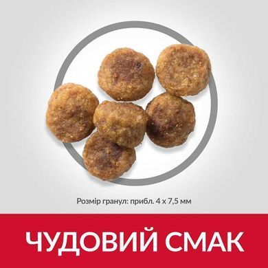 Hill's (Хіллс) Science Plan Adult Small & Miniature Lamb & Rice - Сухий корм з ягням і рисом для дорослих собак дрібних і міні порід від 1 року до 6 років, 300 г