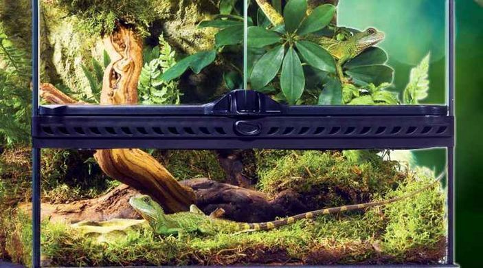 Exo Terra (Екзо Терра) Rain Forest substrate - Наповнювач, змішаний субстрат для тераріуму, 8,8 л