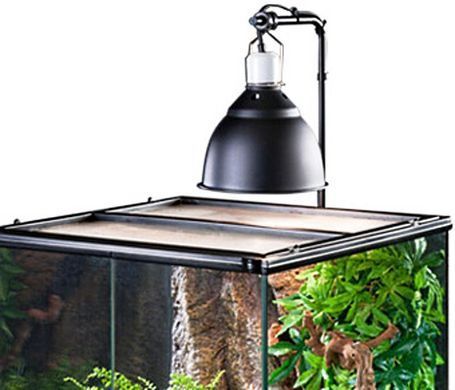 Exo Terra (Екзо Терра) Light Dome - Плафон для лампи з алюмінієвим відбивачем, 14 см