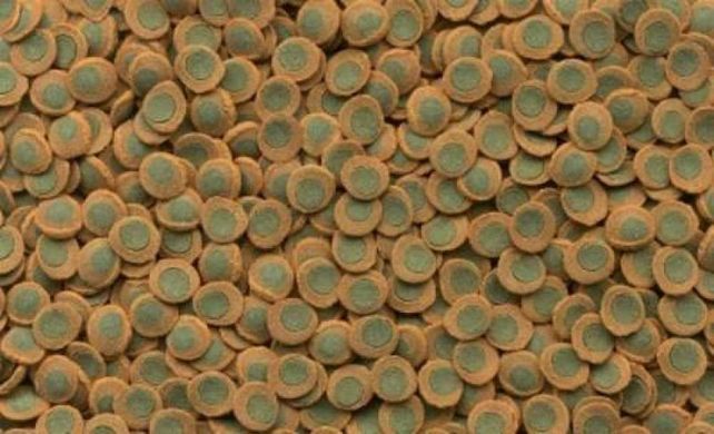 Tetra (Тетра) Pleco Algae Wafers - Корм для донних риб в чіпсах, 1,75 кг