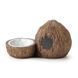 Exo Terra (Екзо Терра) Coconut Hide & Water Dish - Печера з поїлкою Кокос пластикова для рептилій, 21х12х11,5 см
