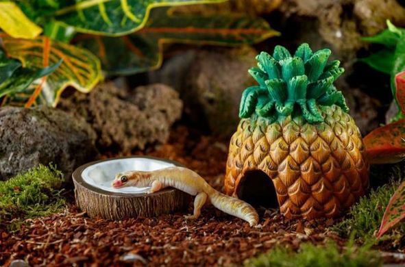 Exo Terra (Екзо Терра) Coconut Water Dish - Поїлка пластикова Кокос для рептилій, 10,5х10,5х4,8 см