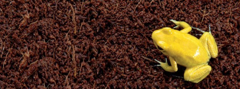 Exo Terra (Екзо Терра) Plantation Soil - Наповнювач Кокосовий субстрат для тераріуму, 8,8 л