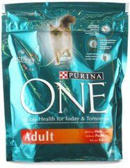 Purina ONE (Пурину Ван) Сухий корм з куркою для кішок, 800 г