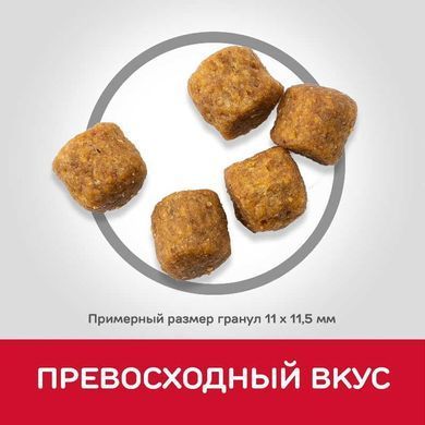 Hill's (Хіллс) Science Plan Mature Adult 7 + Medium with Lamb & Rice - Сухий корм з ягням і рисом для собак середніх порід старше 7 років, 2,5 кг