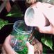 JBL (ДжіБіЕль) MicroCalcium - Мінеральна добавка Мікрокальцій для будь-яких рептилій, 100 г